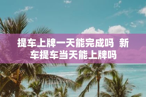 提车上牌一天能完成吗 新车提车当天能上牌吗