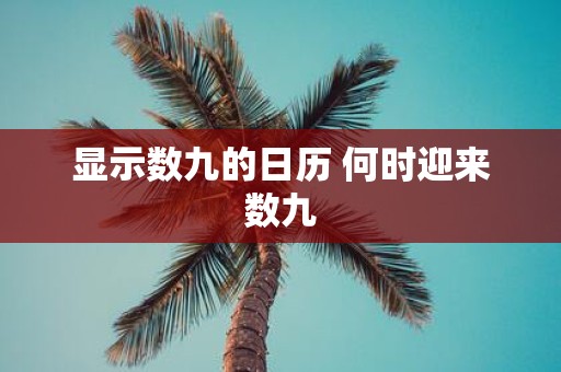 显示数九的日历 何时迎来数九