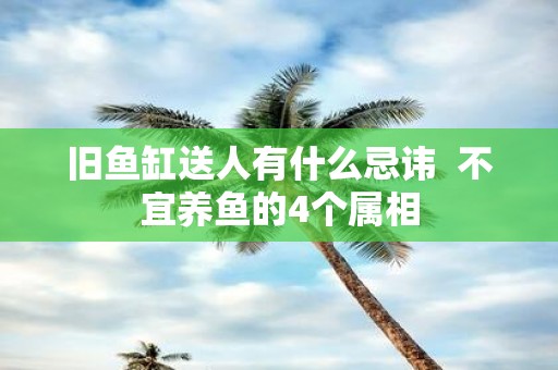 旧鱼缸送人有什么忌讳 不宜养鱼的4个属相