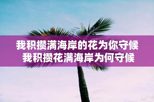 我积攒满海岸的花为你守候 我积攒花满海岸为何守候你
