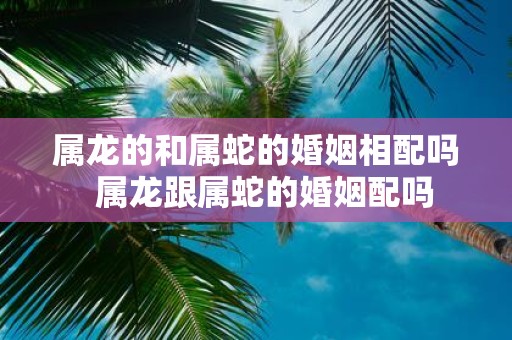 属龙的和属蛇的婚姻相配吗 属龙跟属蛇的婚姻配吗