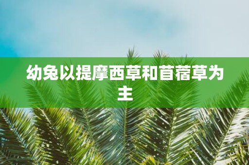 幼兔以提摩西草和苜蓿草为主
