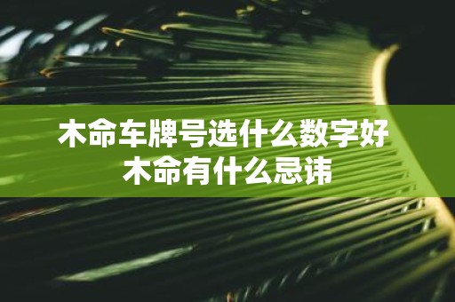 木命车牌号选什么数字好 木命有什么忌讳