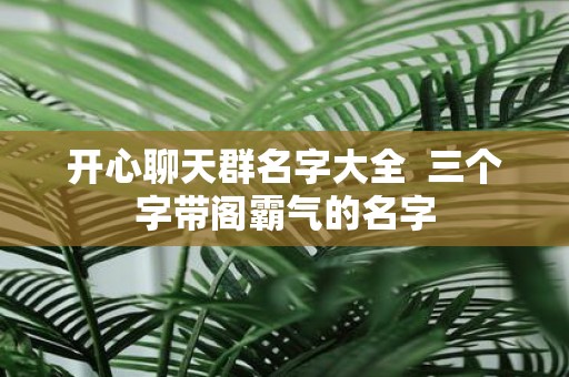 开心聊天群名字大全 三个字带阁霸气的名字