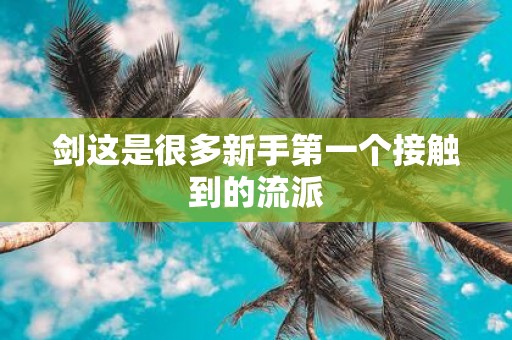 剑这是很多新手第一个接触到的流派