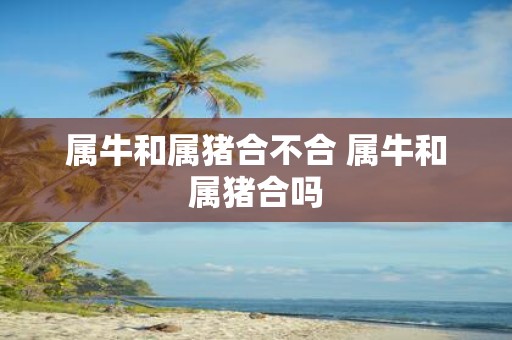 属牛和属猪合不合 属牛和属猪合吗