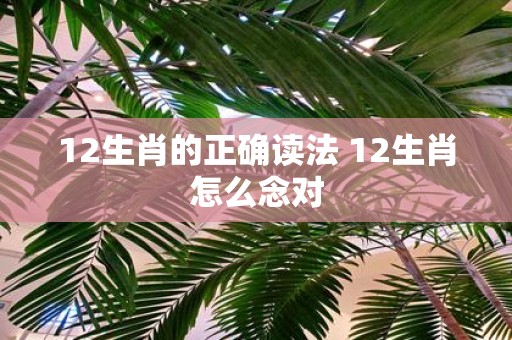 12生肖的正确读法 12生肖怎么念对