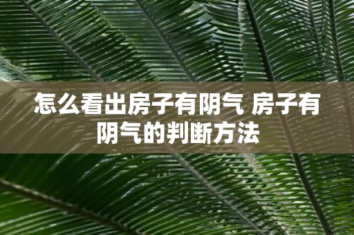 怎么看出房子有阴气 房子有阴气的判断方法