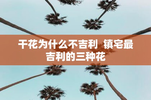 干花为什么不吉利 镇宅最吉利的三种花