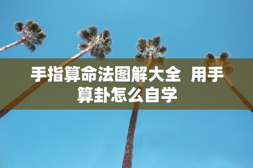 手指算命法图解大全 用手算卦怎么自学