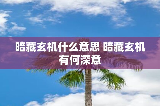 暗藏玄机什么意思 暗藏玄机有何深意