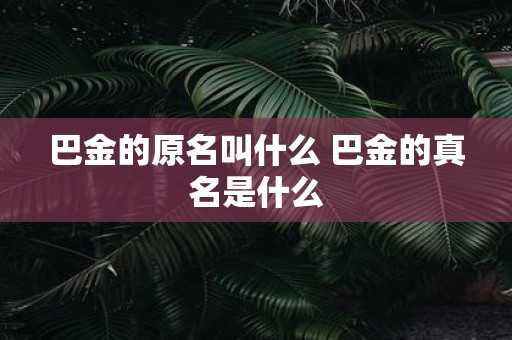 巴金的原名叫什么 巴金的真名是什么