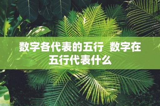 数字各代表的五行 数字在五行代表什么