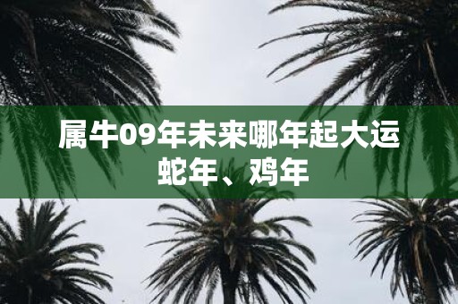 属牛09年未来哪年起大运 蛇年、鸡年
