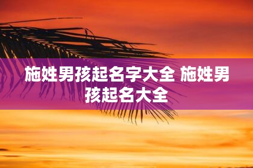 施姓男孩起名字大全 施姓男孩起名大全