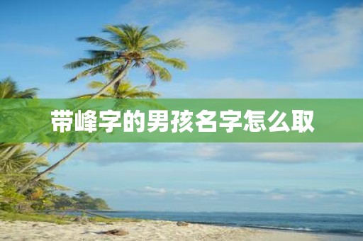 带峰字的男孩名字怎么取