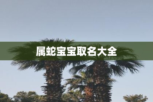 属蛇宝宝取名大全