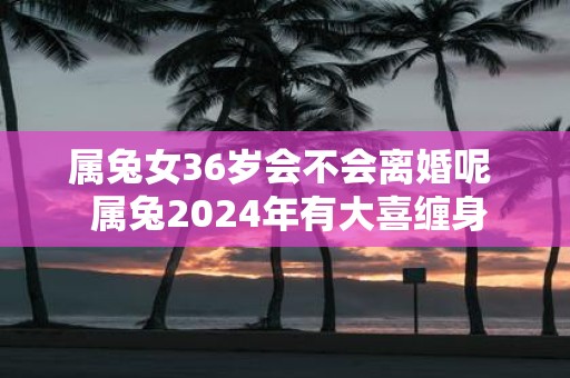 属兔女36岁会不会离婚呢 属兔2025年有大喜缠身