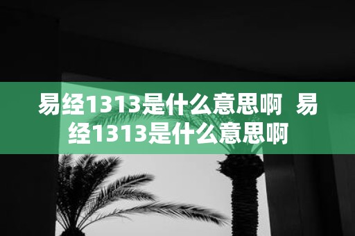 易经1313是什么意思啊 易经1313是什么意思啊