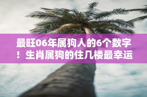 最旺06年属狗人的6个数字！生肖属狗的住几楼最幸运