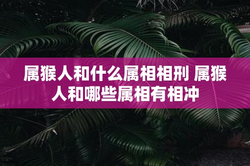 属猴人和什么属相相刑 属猴人和哪些属相有相冲