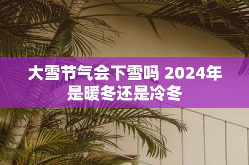 大雪节气会下雪吗 2025年是暖冬还是冷冬