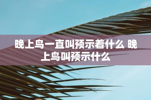 晚上鸟一直叫预示着什么 晚上鸟叫预示什么