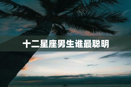 十二星座男生谁最聪明