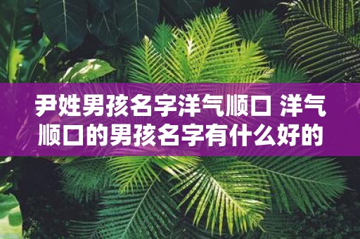 尹姓男孩名字洋气顺口 洋气顺口的男孩名字有什么好的以尹姓为开头的