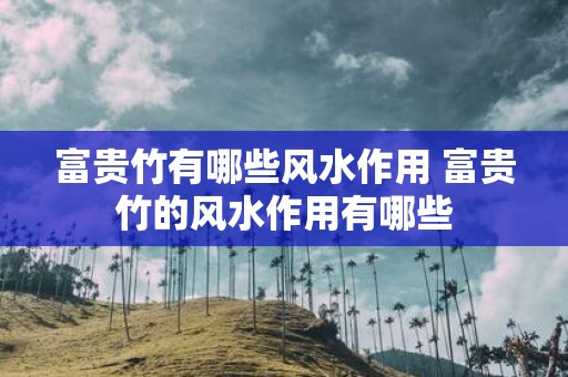 富贵竹有哪些风水作用 富贵竹的风水作用有哪些