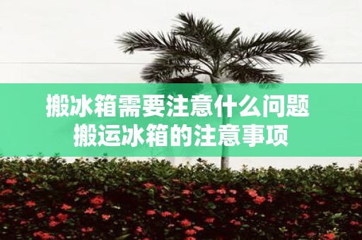 搬冰箱需要注意什么问题 搬运冰箱的注意事项