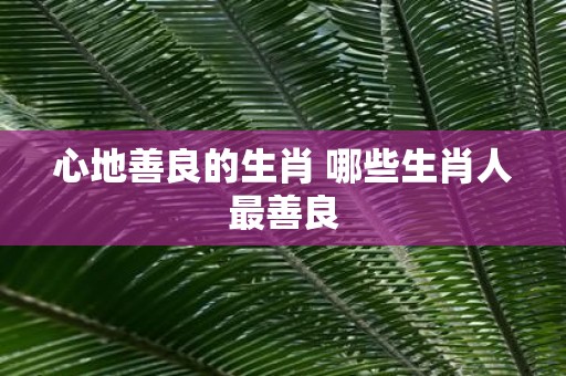 心地善良的生肖 哪些生肖人最善良
