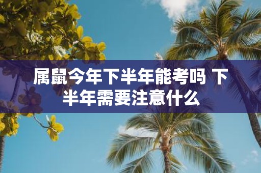 属鼠今年下半年能考吗 下半年需要注意什么