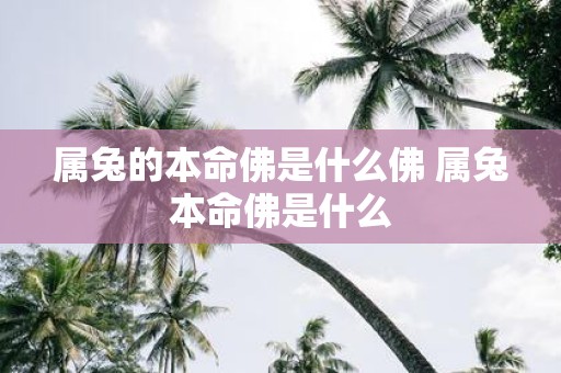 属兔的本命佛是什么佛 属兔本命佛是什么