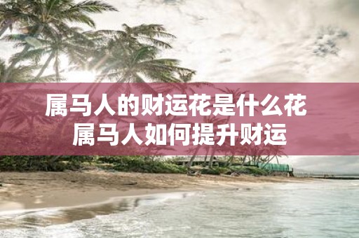 属马人的财运花是什么花 属马人如何提升财运