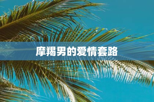 摩羯男的爱情套路
