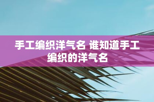 手工编织洋气名 谁知道手工编织的洋气名