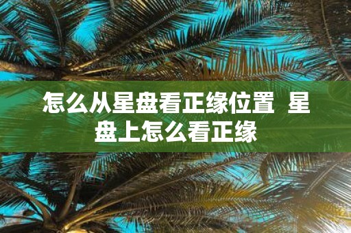 怎么从星盘看正缘位置 星盘上怎么看正缘