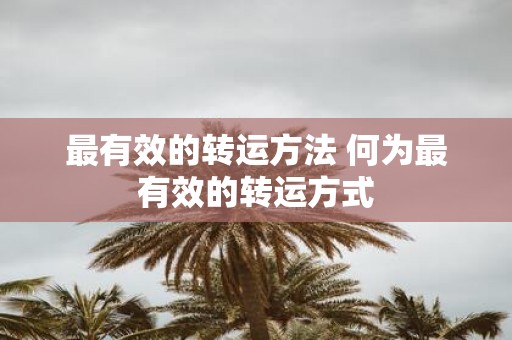 最有效的转运方法 何为最有效的转运方式