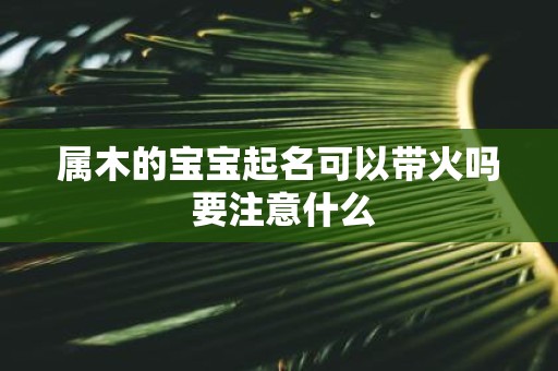 属木的宝宝起名可以带火吗 要注意什么