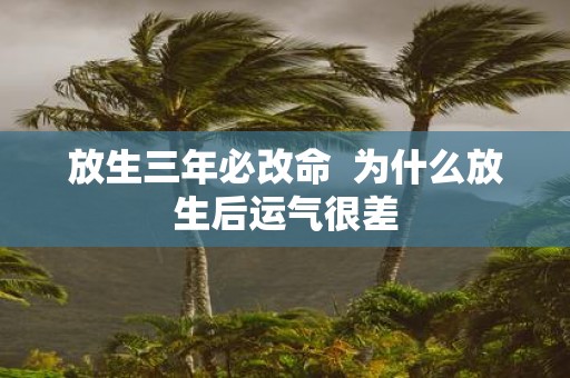放生三年必改命 为什么放生后运气很差