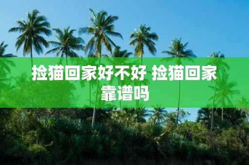 捡猫回家好不好 捡猫回家靠谱吗