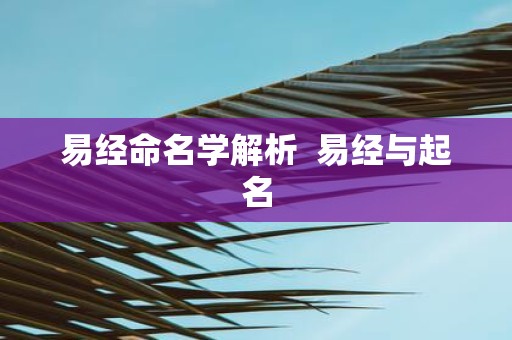 易经命名学解析  易经与起名