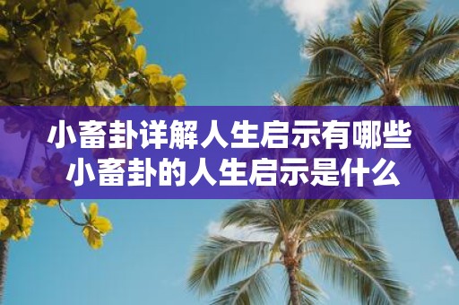 小畜卦详解人生启示有哪些 小畜卦的人生启示是什么