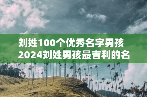 刘姓100个优秀名字男孩 2025刘姓男孩最吉利的名字是