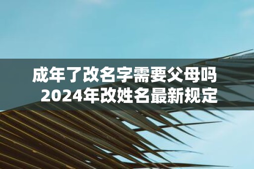 成年了改名字需要父母吗 2025年改姓名最新规定