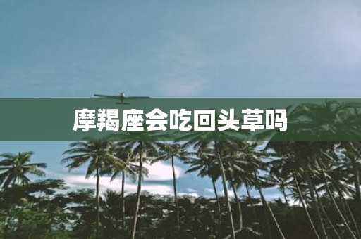 摩羯座会吃回头草吗