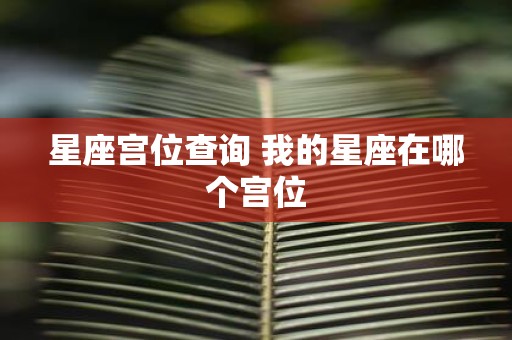 星座宫位查询 我的星座在哪个宫位