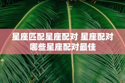星座匹配星座配对 星座配对哪些星座配对最佳