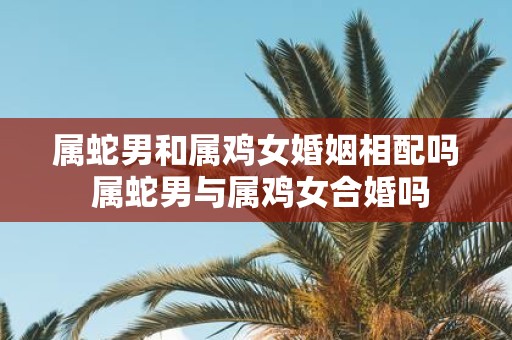 属蛇男和属鸡女婚姻相配吗 属蛇男与属鸡女合婚吗